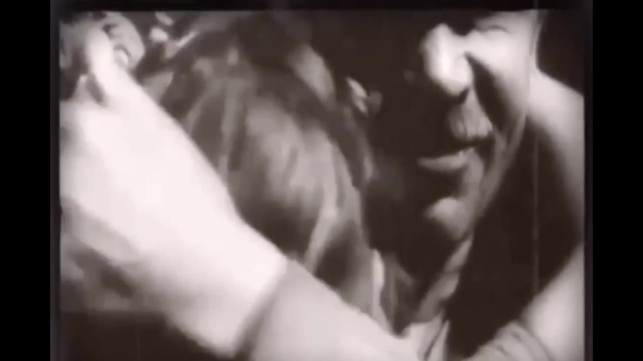 Зайцев Никита