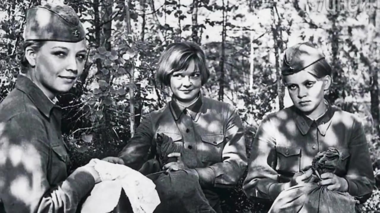 Цыброва Анна Евгеньевна