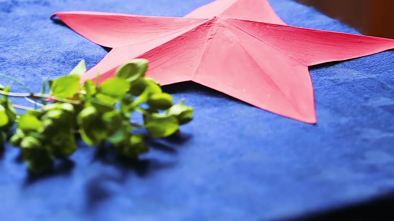 Дарья Гастева