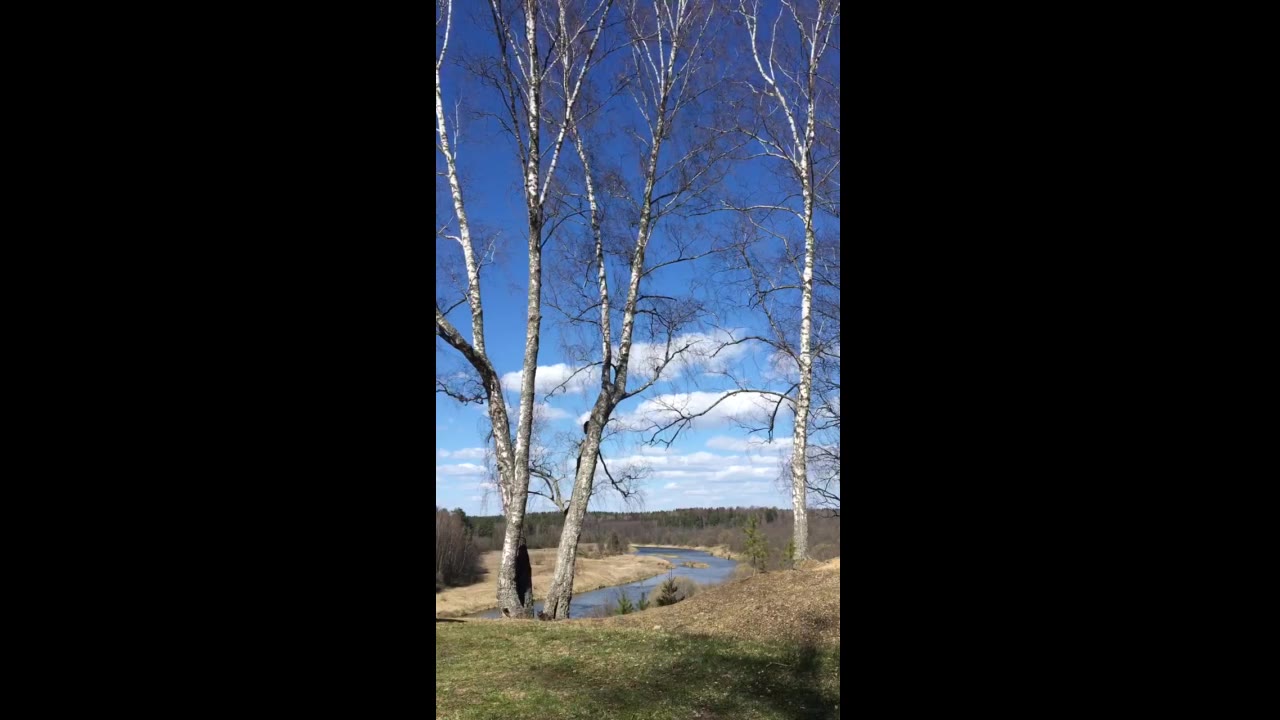 Сергей Сергеев