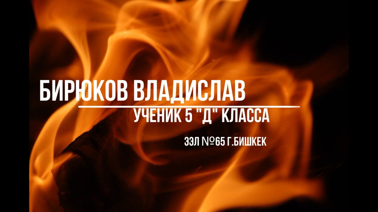 Бирюков Владислав Александрович