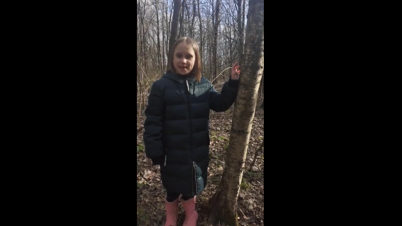 Андреева Валерия