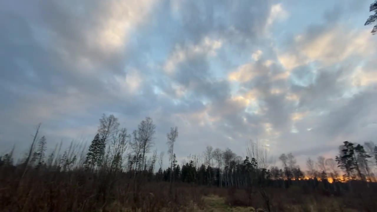 Николай Дорофеев