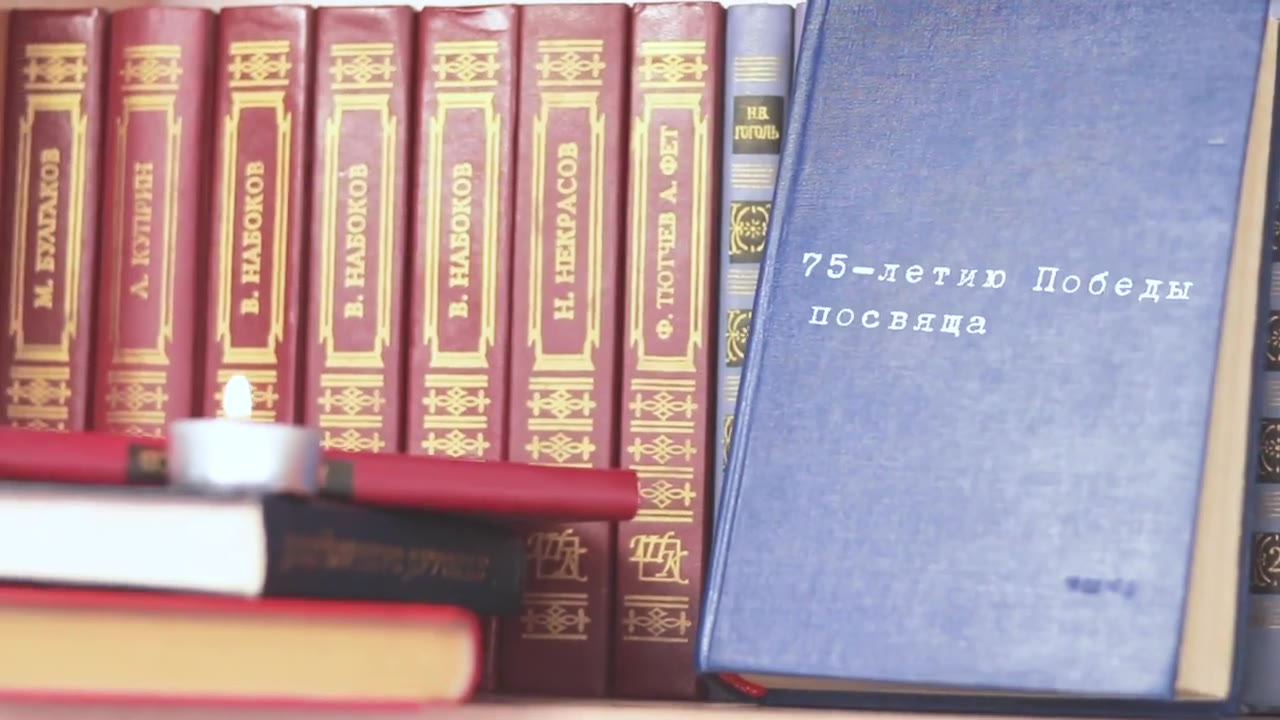 Полина Шашенко