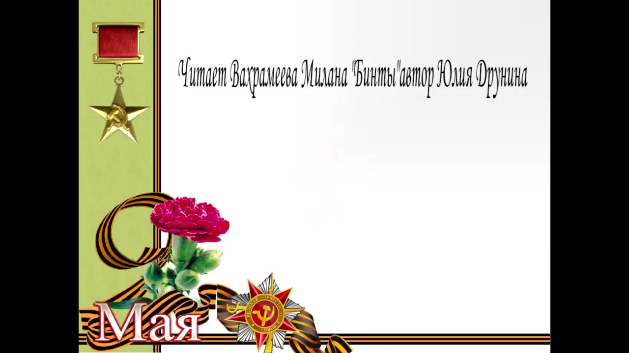 Санитарочка