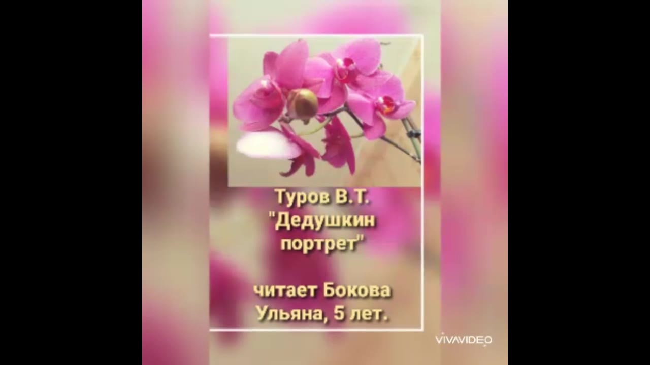 Уляша