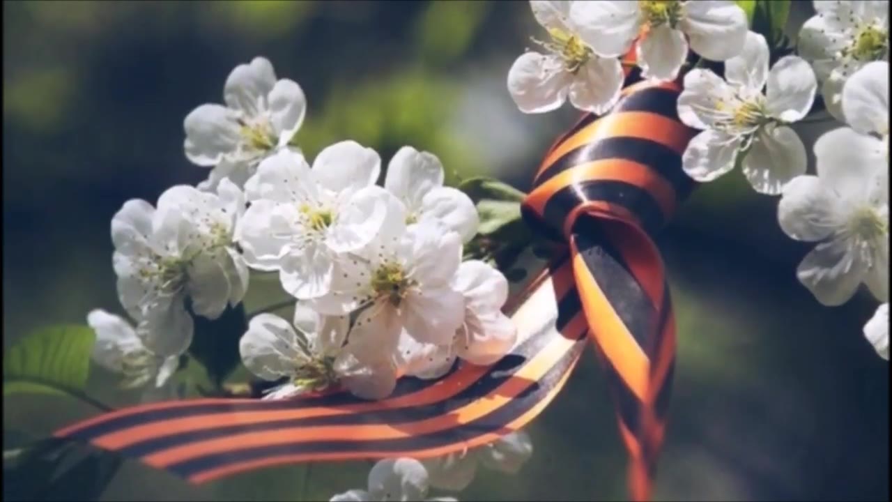 Веляева Виктория