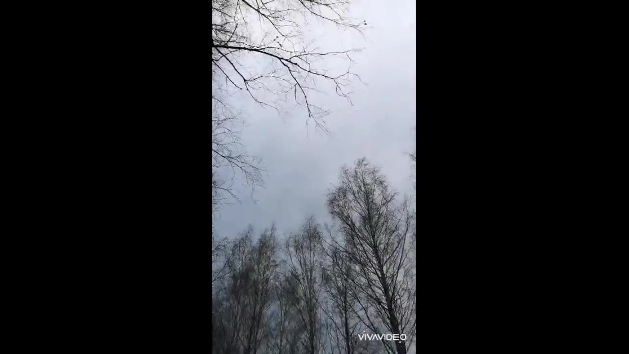 Серёжа Большаков