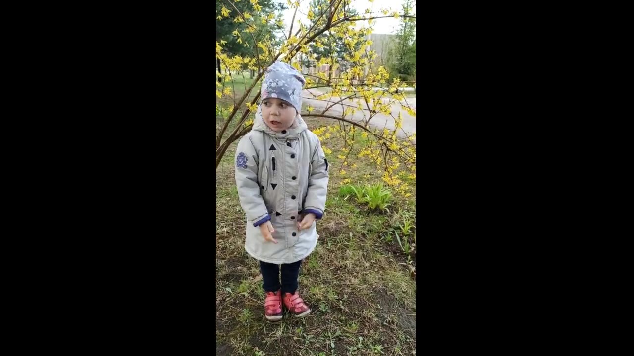 Лисина Лилия