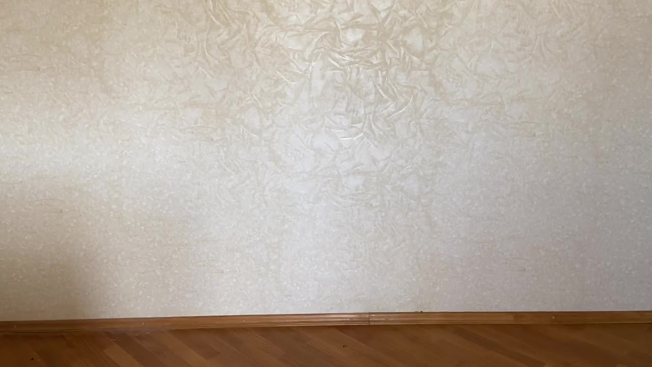 Шаврина Полина Николаевна