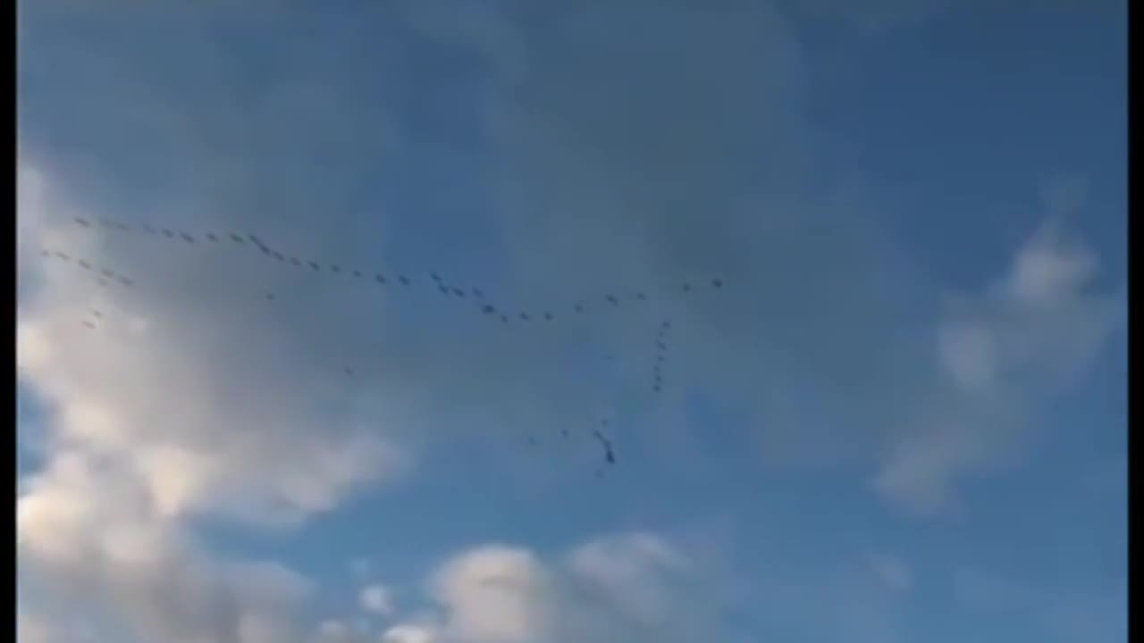 Абаньшин Тимур