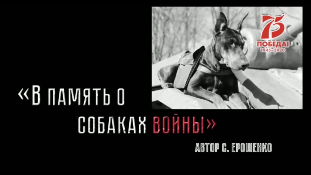 Синица Наталья Михайловна