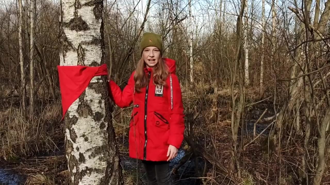 Виноградова Алиса