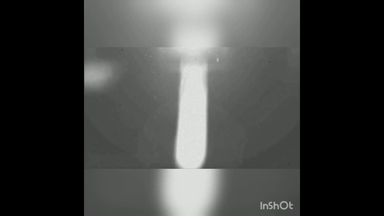 Кокорева Ксения