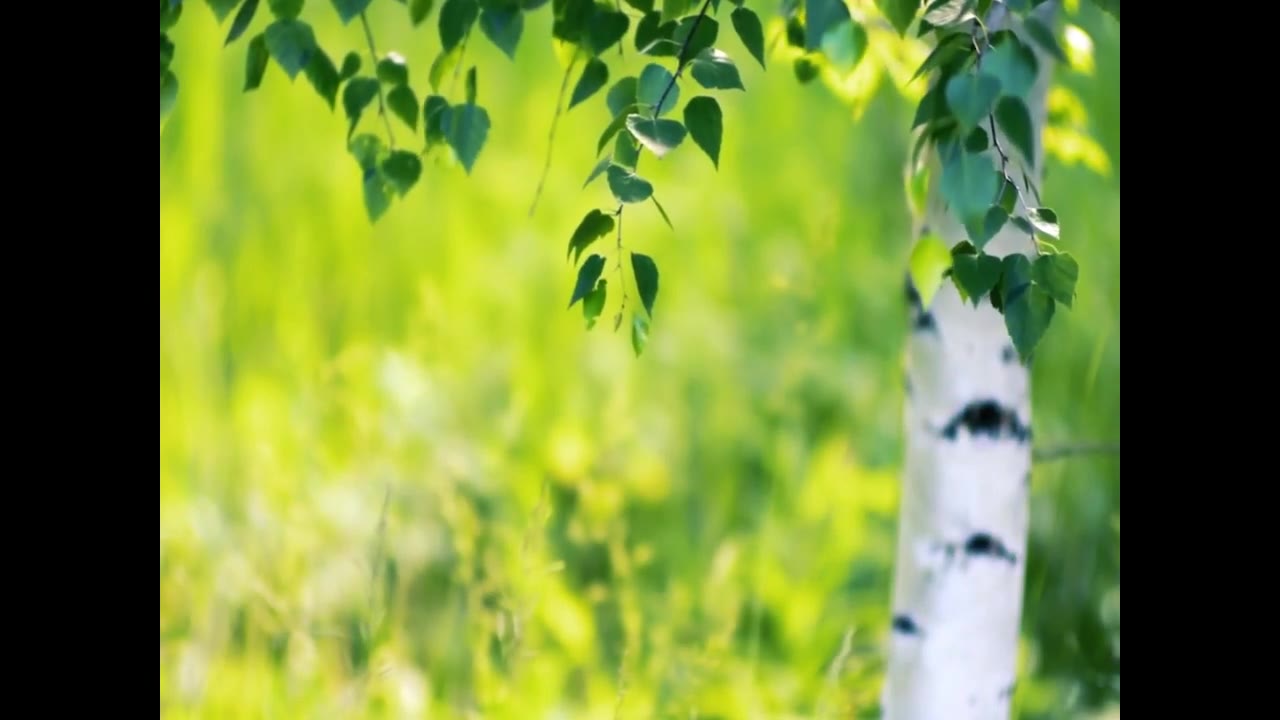 Раевская Кристина