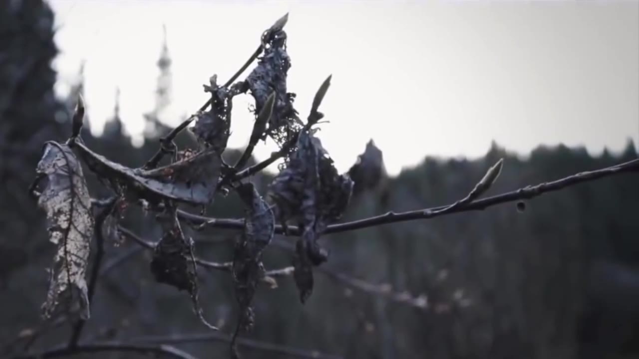 Максим Суздалов