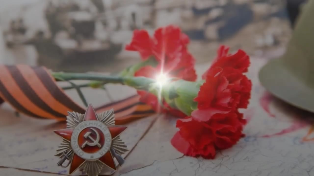 Соколова Анастасия Ивановна