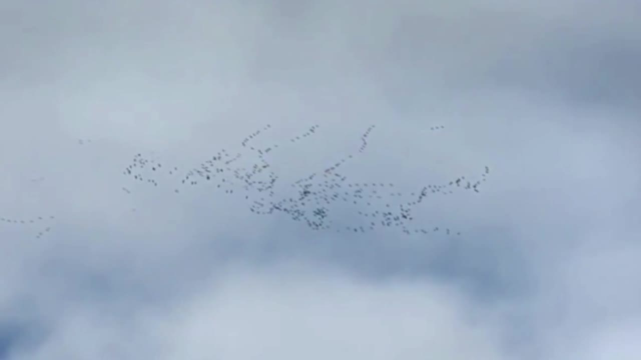 Марк Баханов и Мирослава Мякишева