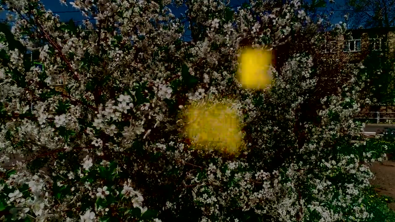 Марчук Лилия Григорьевна, директор МОАУ "Лицей №1"