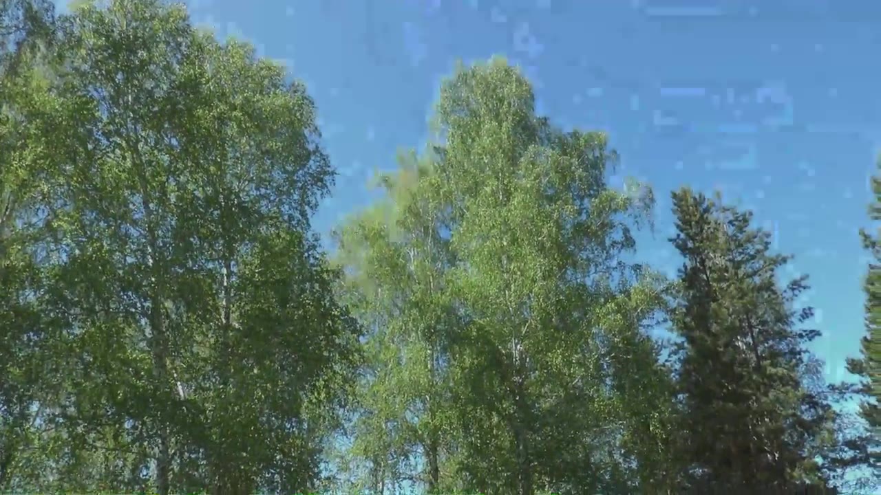 Севастьянов Александр Иванович, деревня Бурлаки Армизонского района Тюменской области