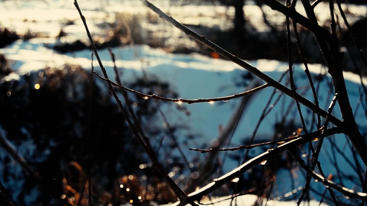 Веселова Нина Ивановна, с. Износки